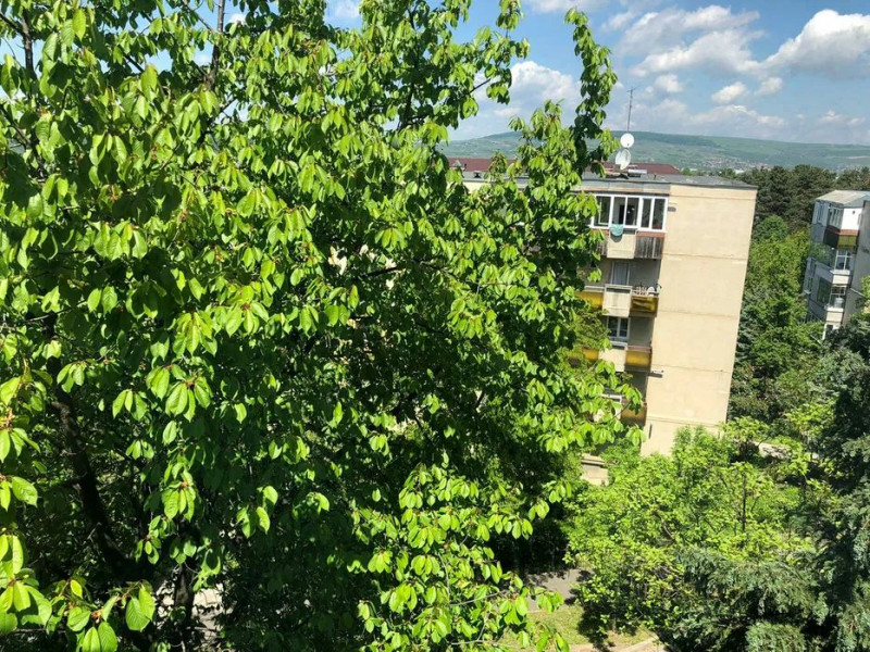 Apartament 2 camere decom, 55 mp, FINISAT, str.GH.DIMA, Zorilor