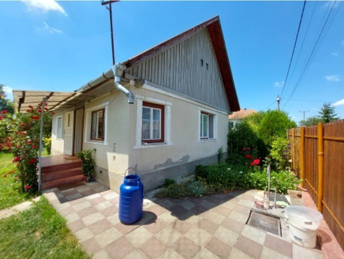 De vanzare casa in loc. Vultureni, 40 mp, teren 1400 mp.