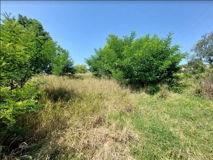 Teren 1200 mp, intravilan, loc. Rediu