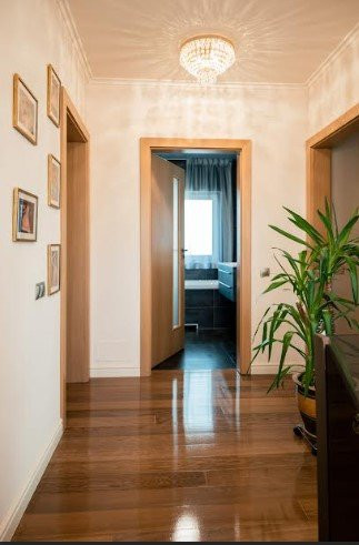 Casa individuala LUX, 240 mp, teren 500 mp, str. Dianei, Faget