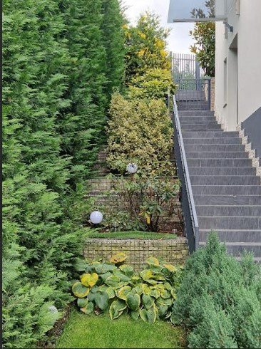 Casa individuala LUX, 240 mp, teren 500 mp, str. Dianei, Faget