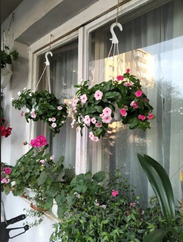 Apart. 4 camere, 80 mp, zona P-ta Flora, Manastur